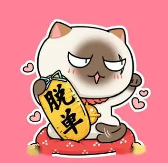 光影随行